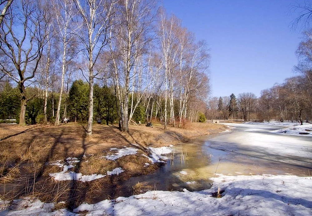 Fluss Vorfrühling Isaac