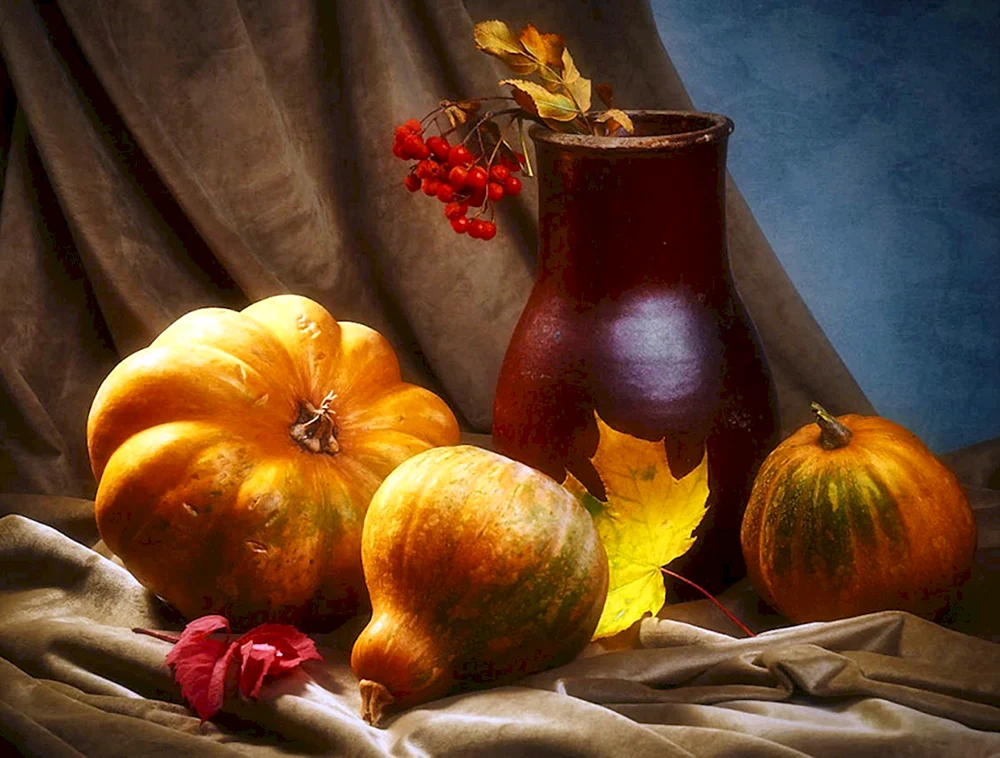 Rembrandt Stillleben mit Kürbis