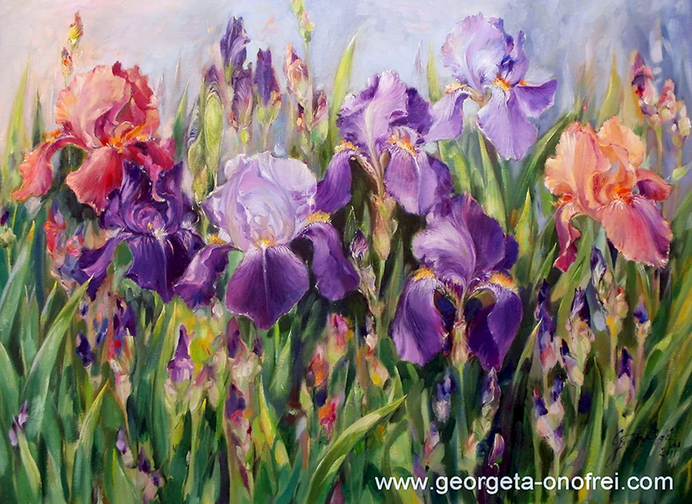 Iris Ann Mortimer