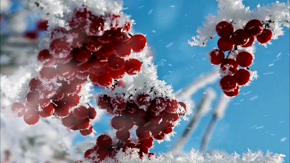 Winterlandschaft