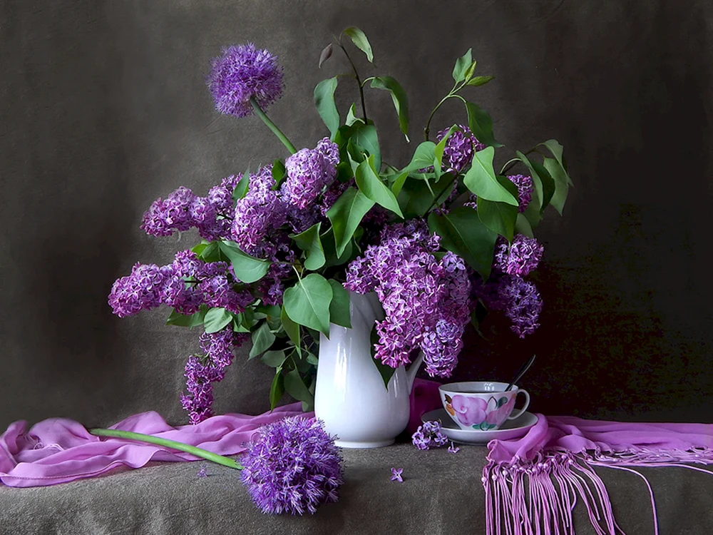 Richard Cooper Foto Stilleben