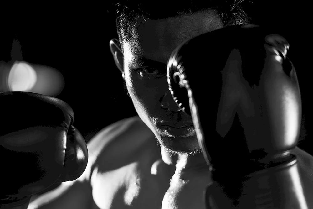 Riddick BOW Boxer