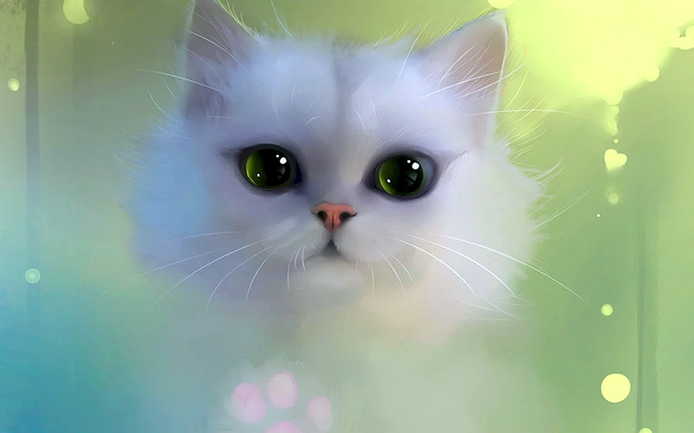 Süße Katzen