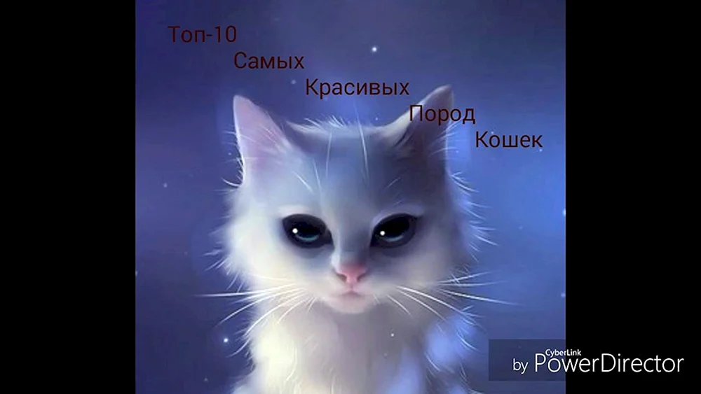 Rihards Donskis
