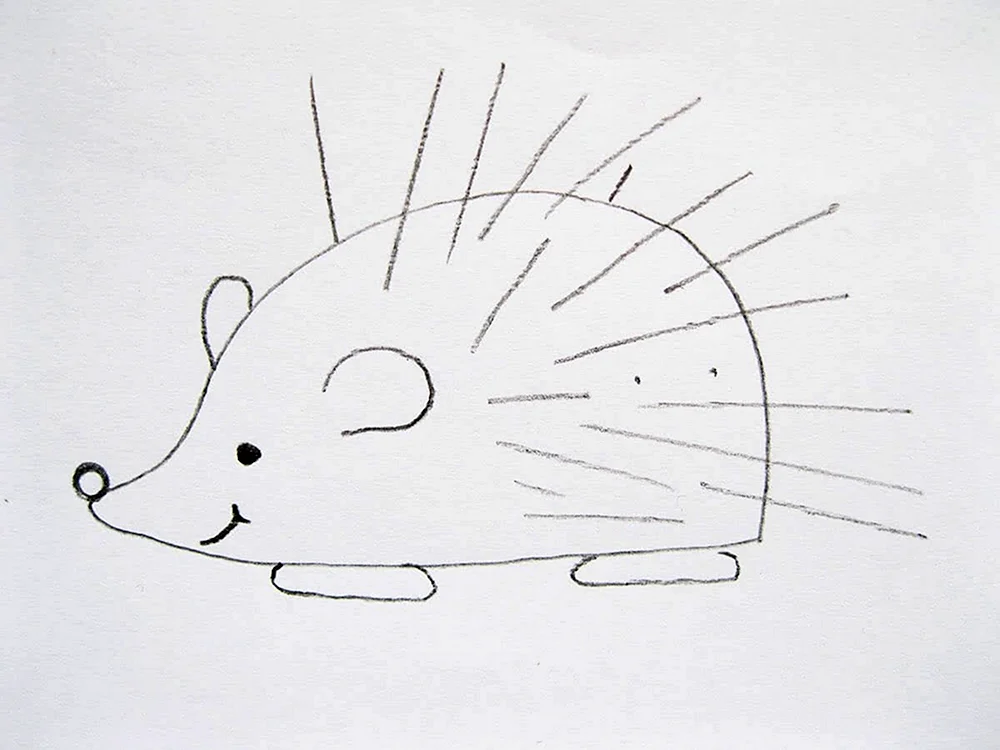 Igel Zeichnung