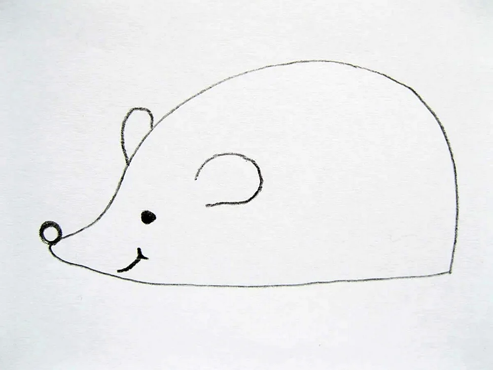 Igel zeichnen