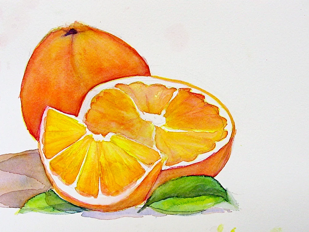 Frucht-Aquarell-Zeichnungen
