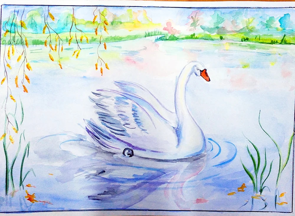 Schwan Zeichnung