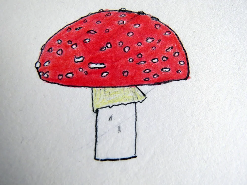 Fliegenpilz zeichnen
