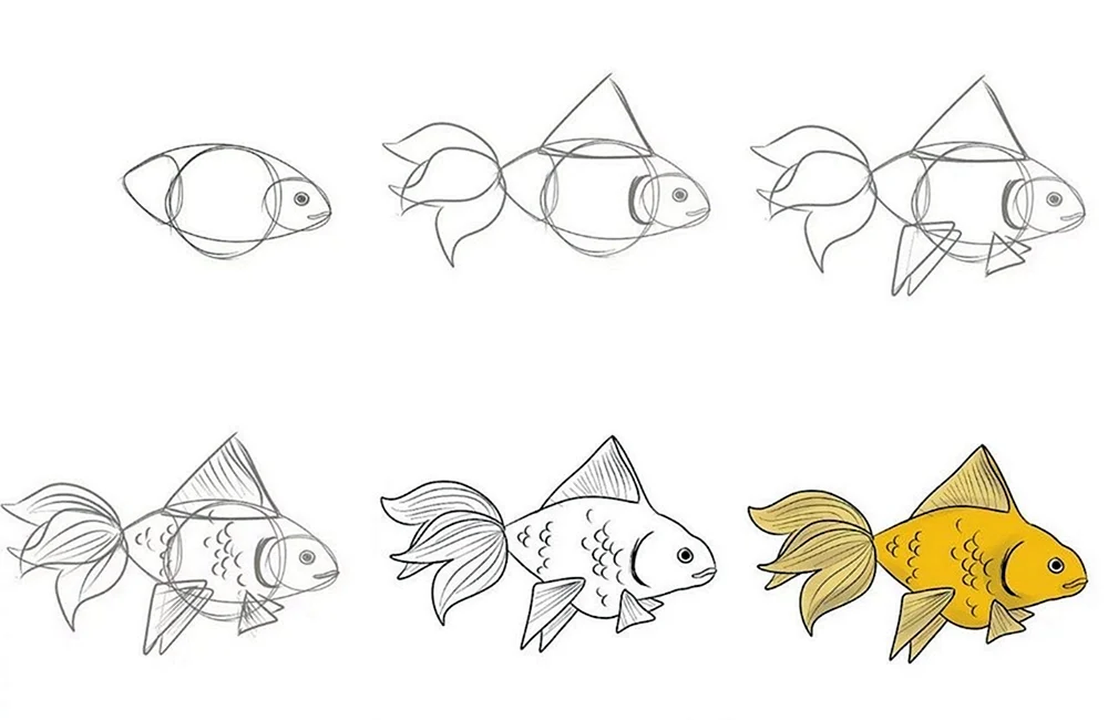 Fischzeichnung