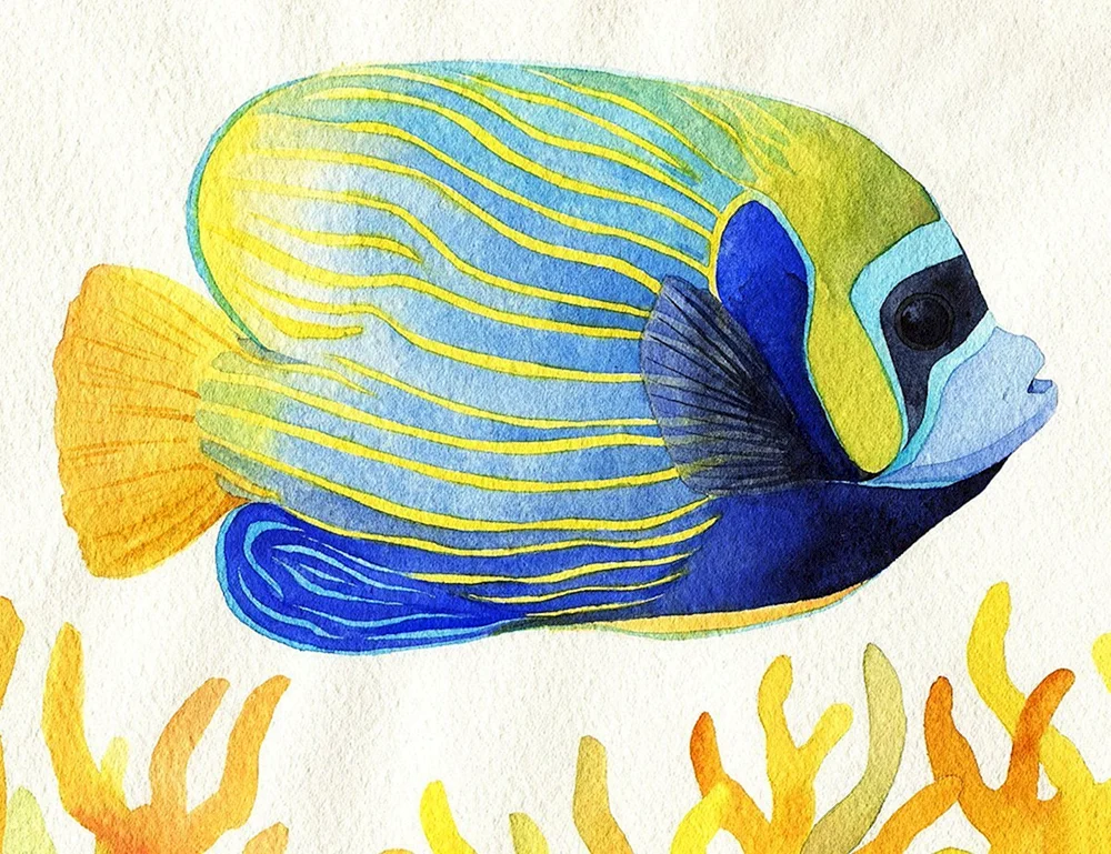 Fischzeichnung mit Aquarellstiften