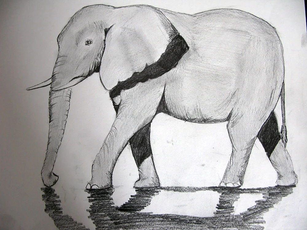 Elefantenumriss