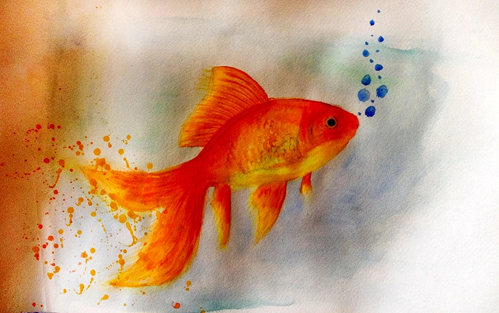 Goldfisch