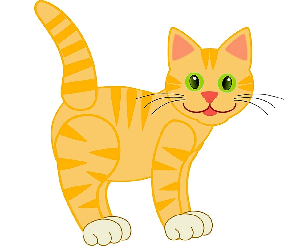 Katze zeichnen