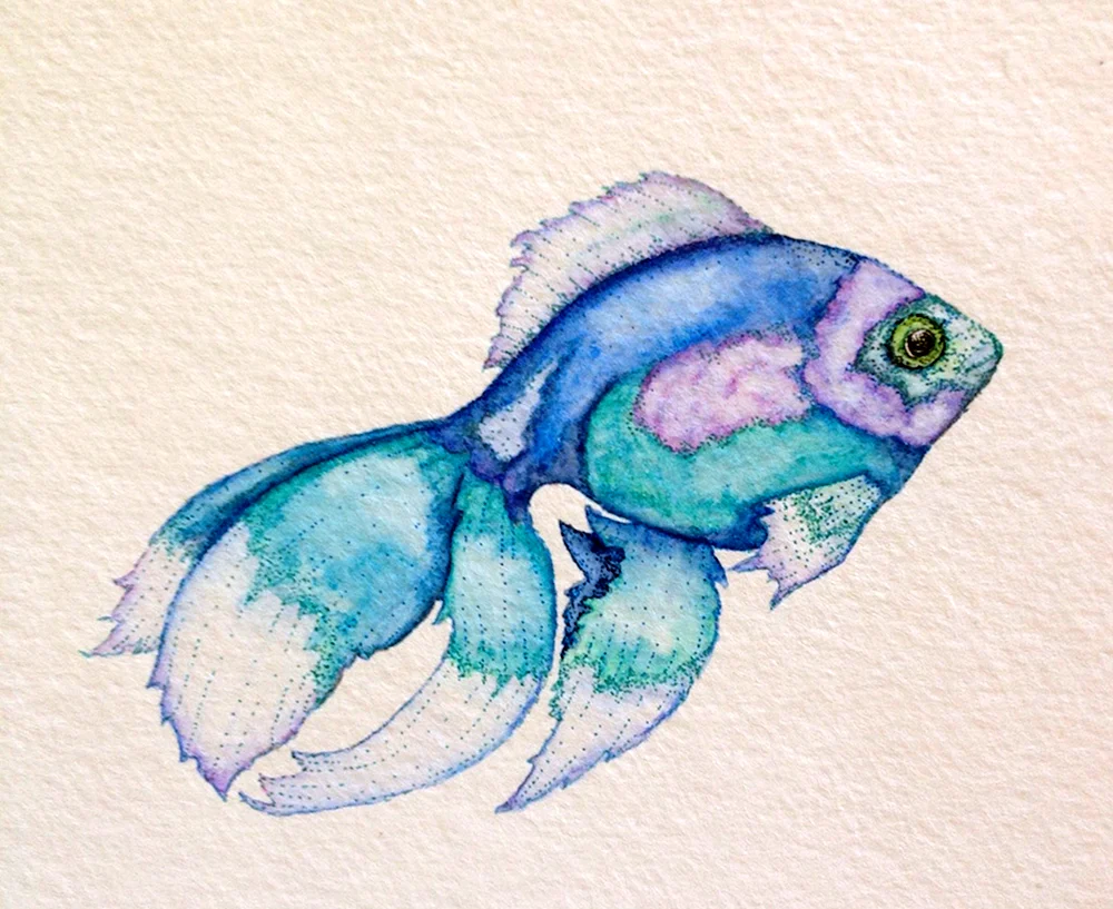 Fischzeichnung