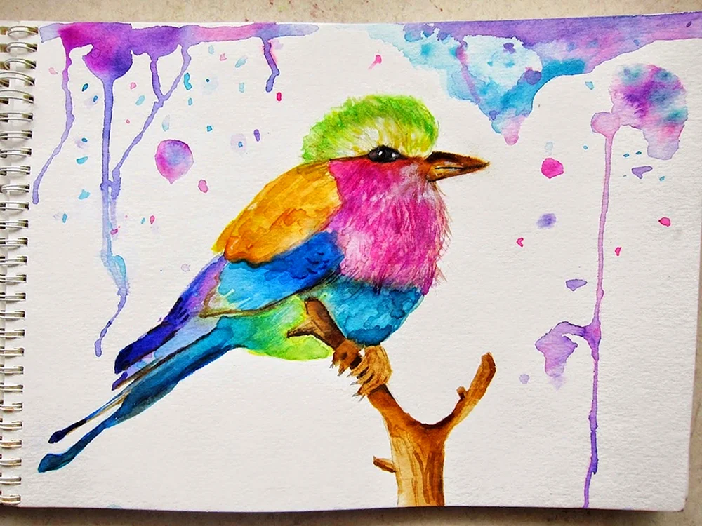 Schrittweise Aquarell-Blumen-Zeichnungen
