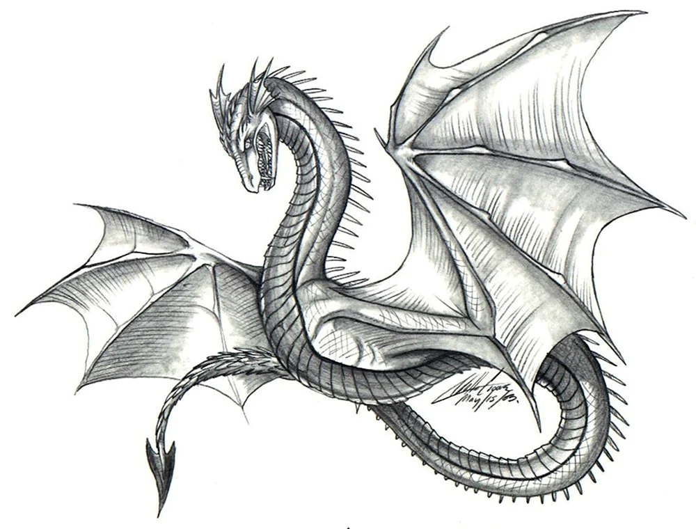 Zeichnungen Drachen
