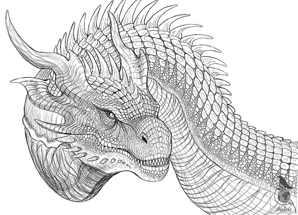 Drachen Ausmalen