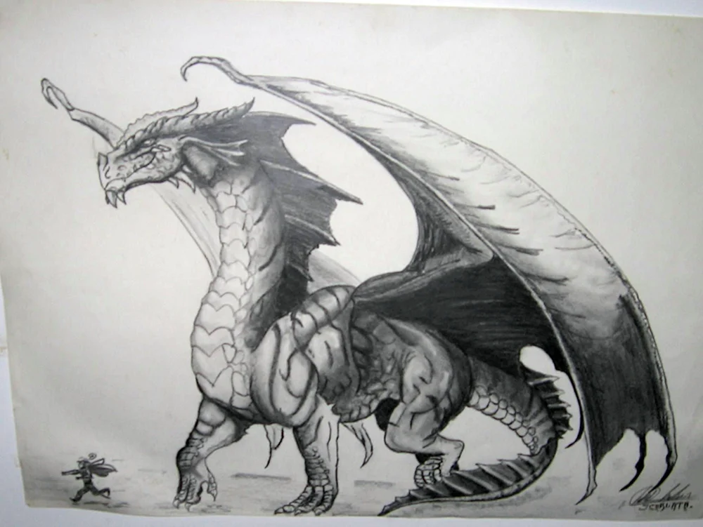Drachen Bleistiftzeichnungen