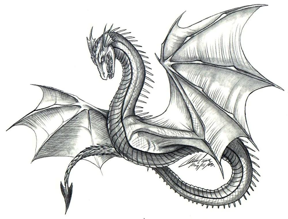 Drachen Bleistiftzeichnung