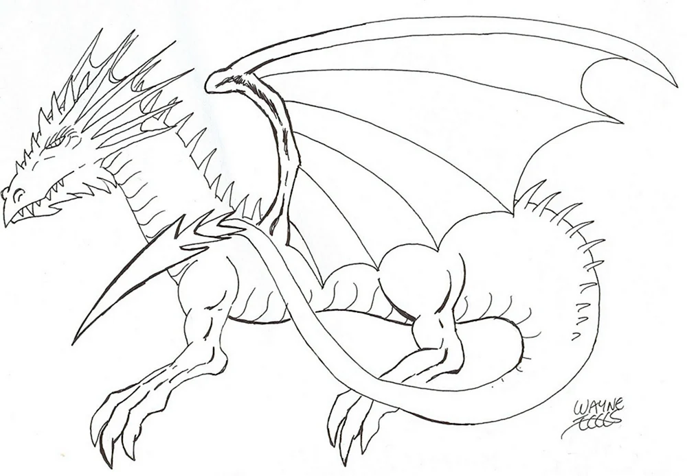 Drachen Bleistiftzeichnung