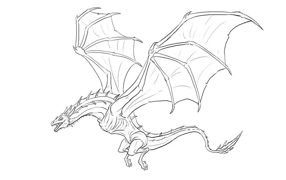 Drachen Bleistiftzeichnungen von Drachen