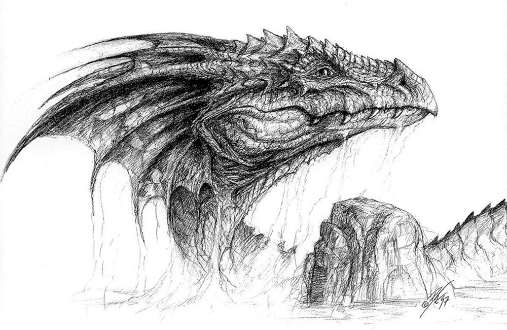 Drachen Bilder