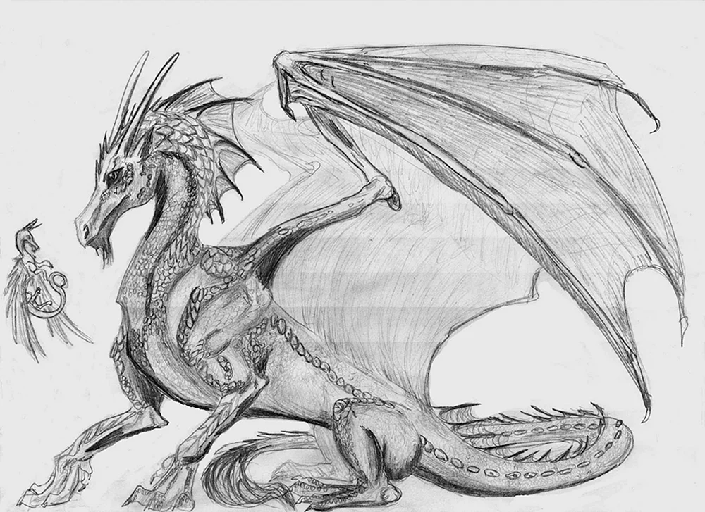 Drachen Bleistiftzeichnung