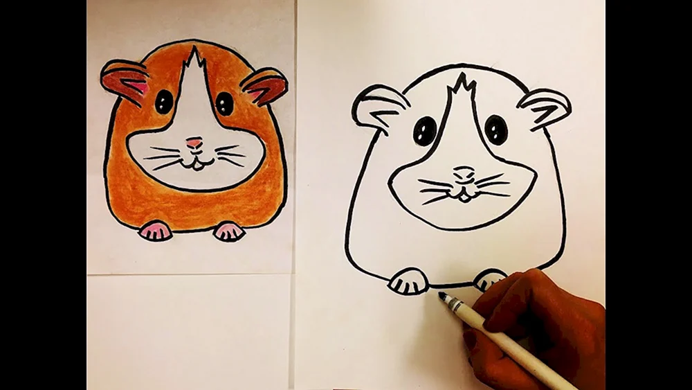 Hamsterzeichnungen zum Zeichnen