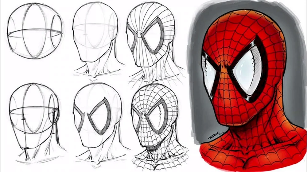Marvel Spider-Man Zeichnung