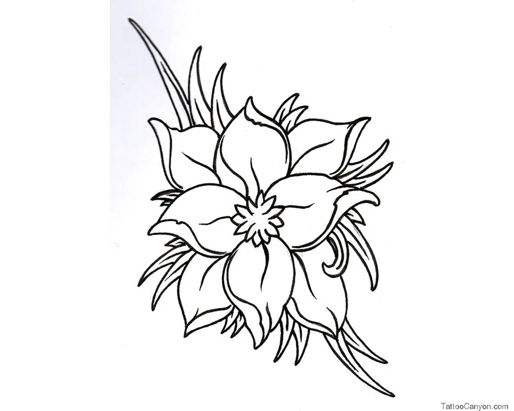 Blumen violett ausmalen