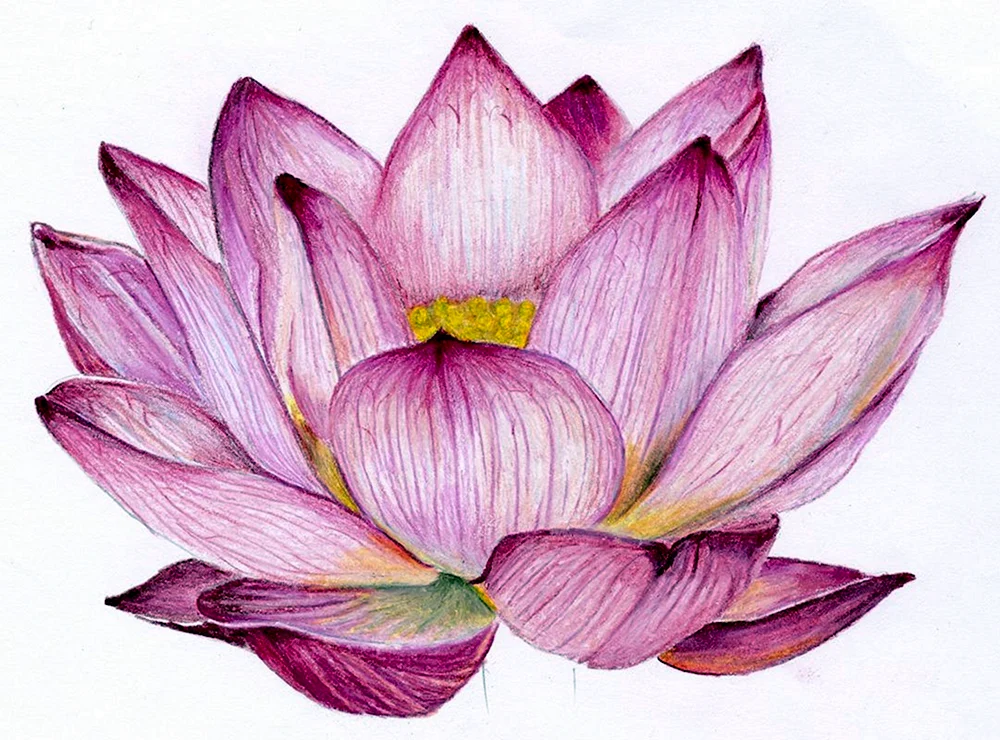Blumen schön ausmalen