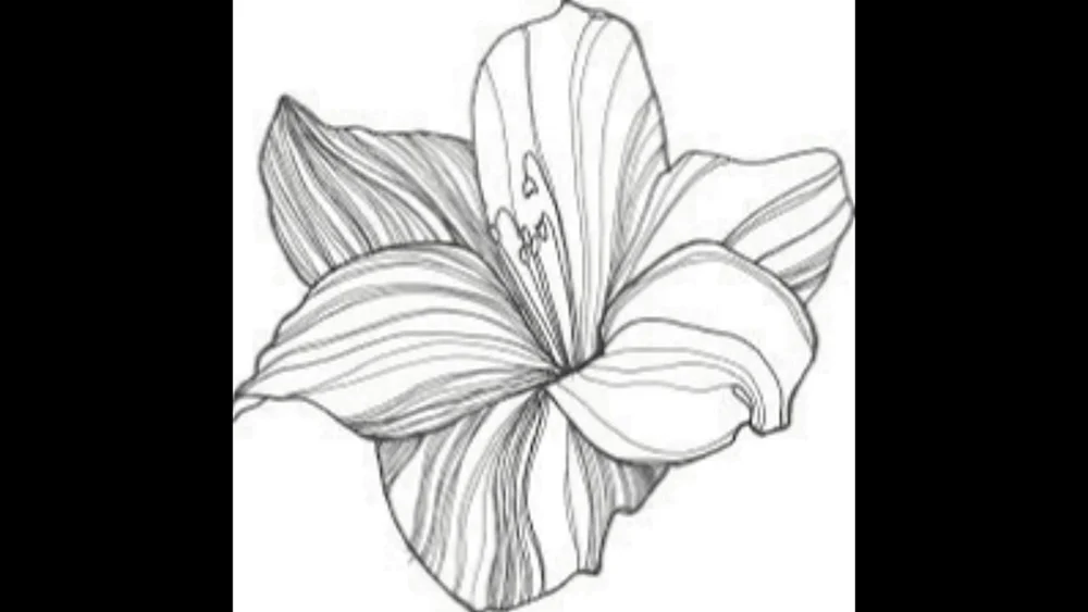 Blumenbilder