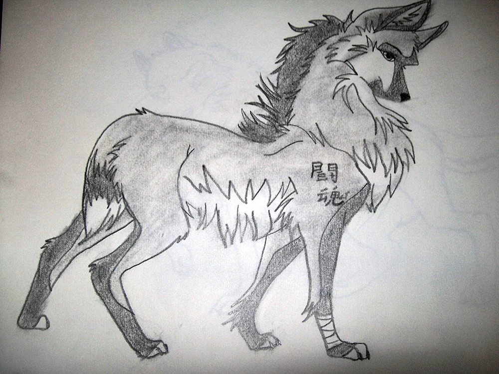 Wolf Zeichnung