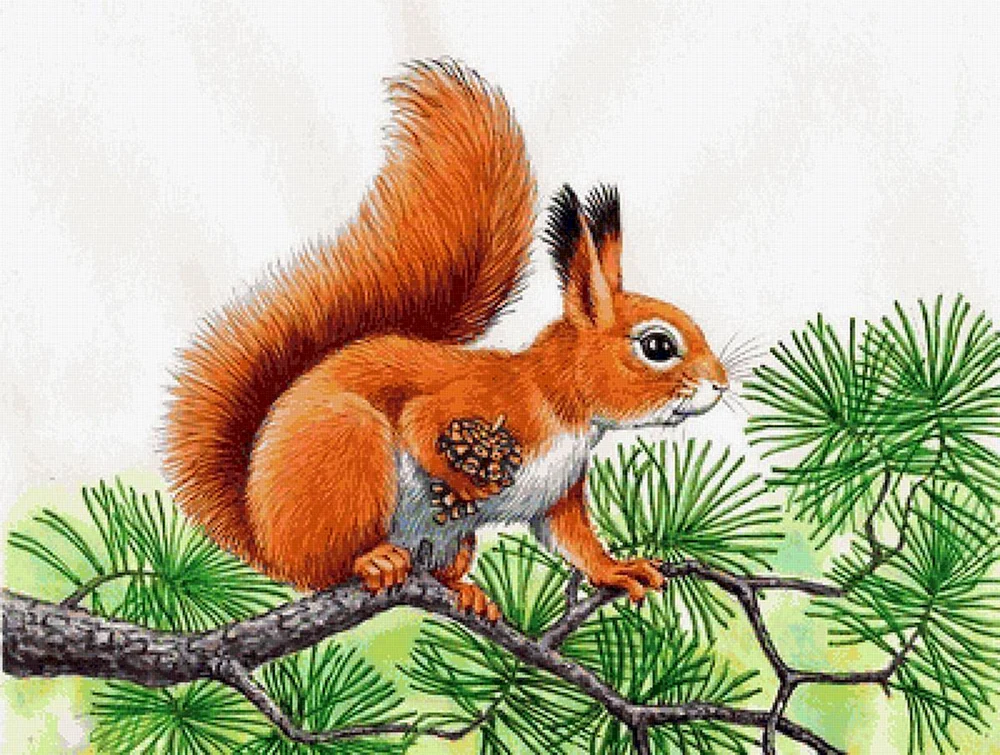 Eichhörnchen Zeichnung