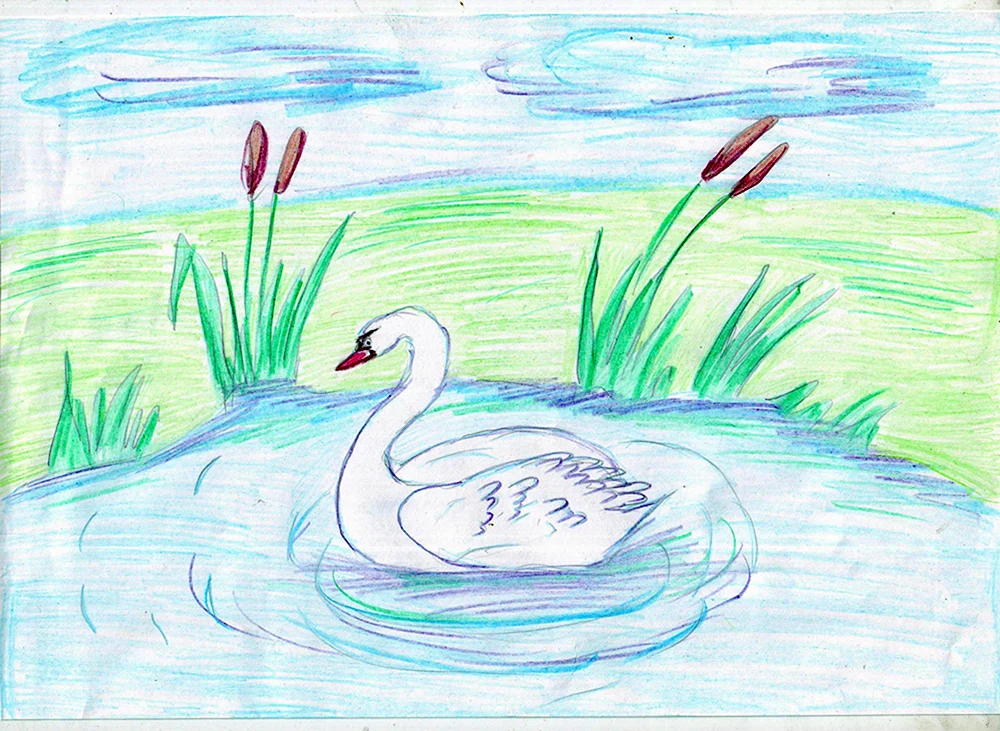 Schwan zeichnen