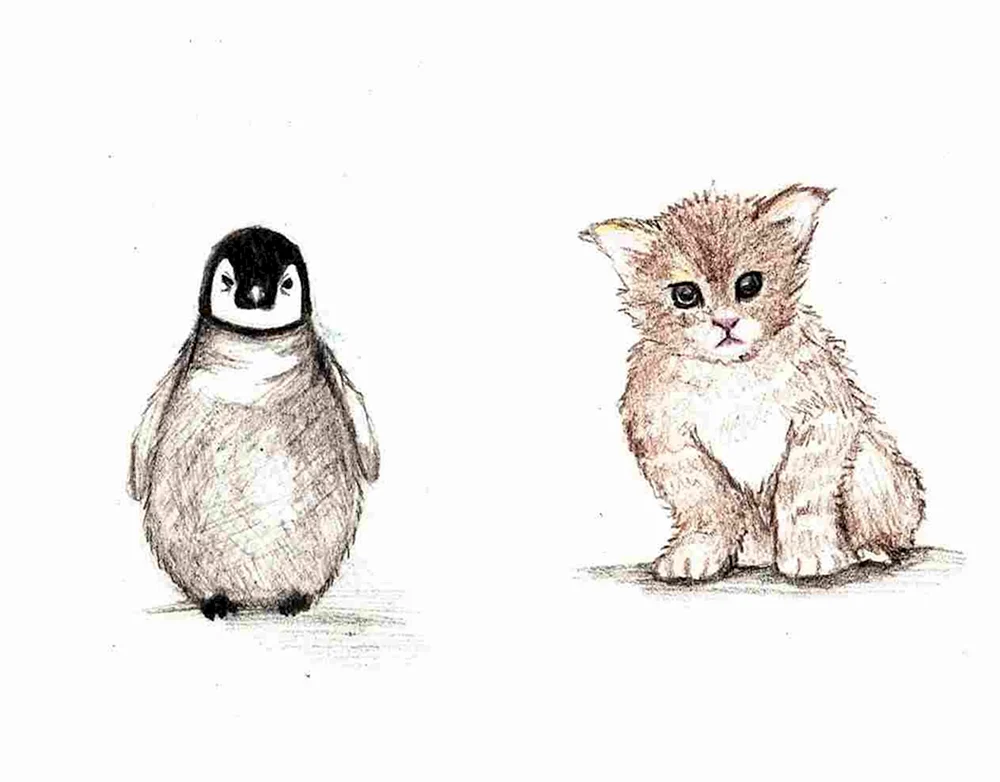Bleistiftzeichnung eines Pinguins zum Zeichnen