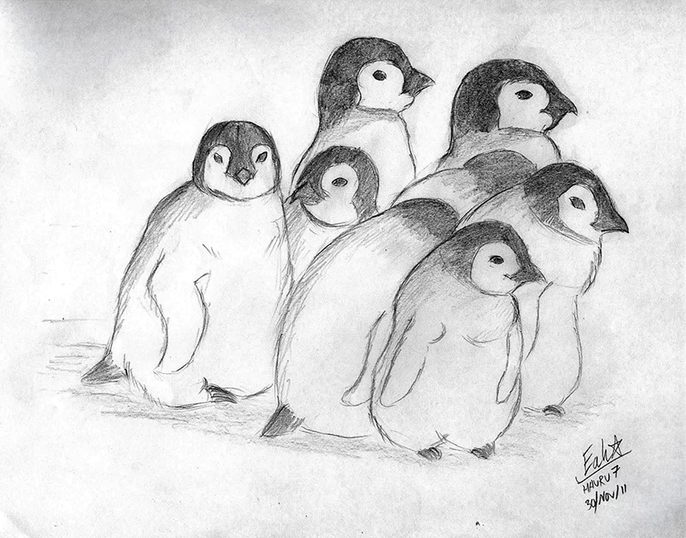 Bleistiftzeichnung eines Pinguins zum Zeichnen