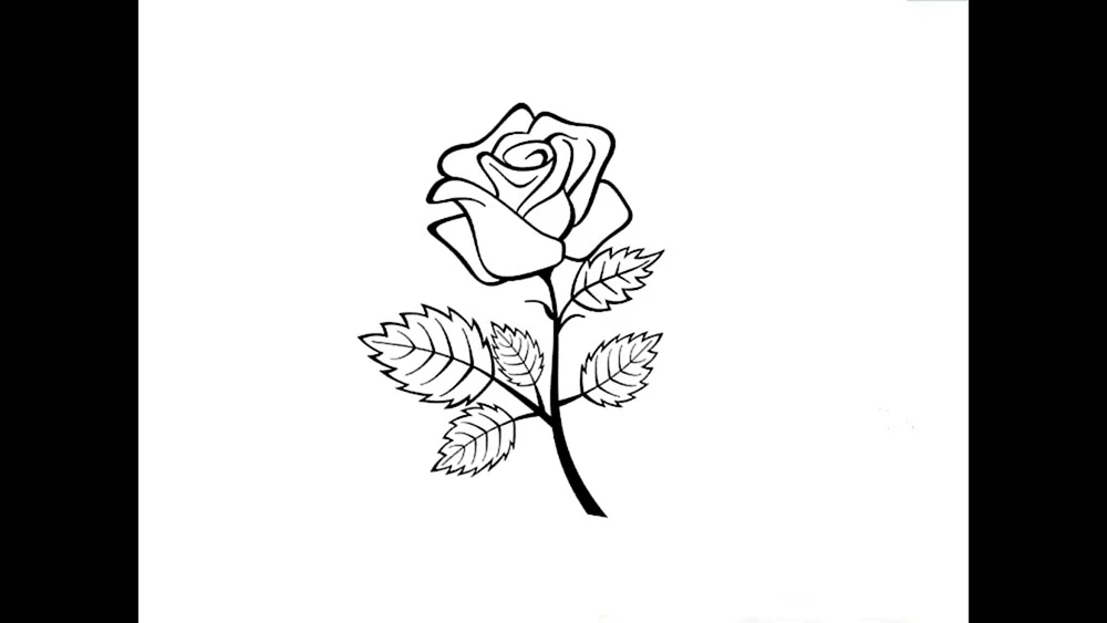 Blumenzeichnung zum Zeichnen