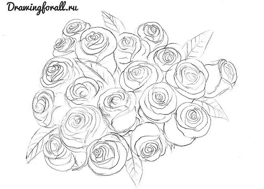 Blumen zeichnen mit Bleistift