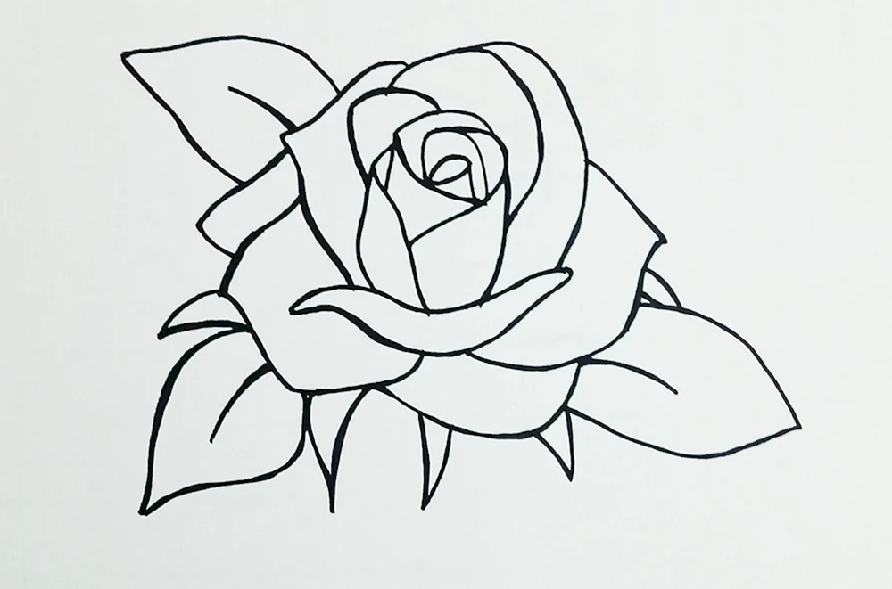 Blumen Zeichnung mit Bleistift