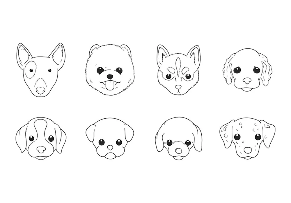 Labrador pawpaw puppy