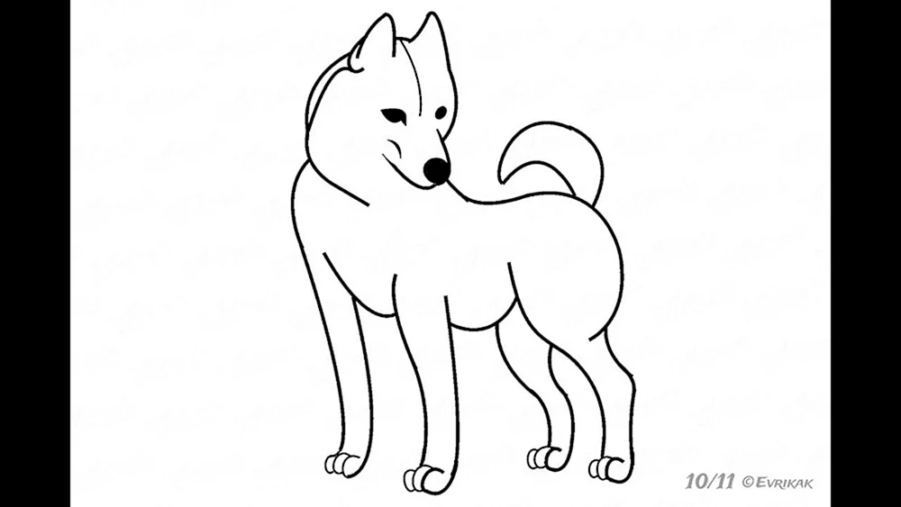 Hund Zeichnung