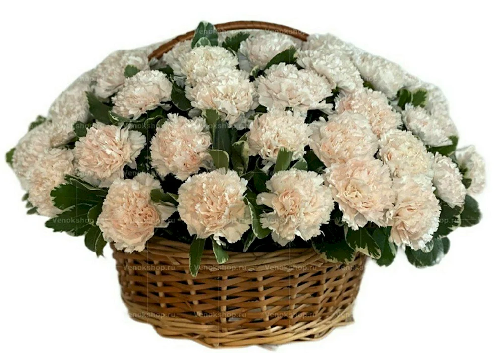 Ritualkorb mit frischen Blumen. 50 weiße Nelken