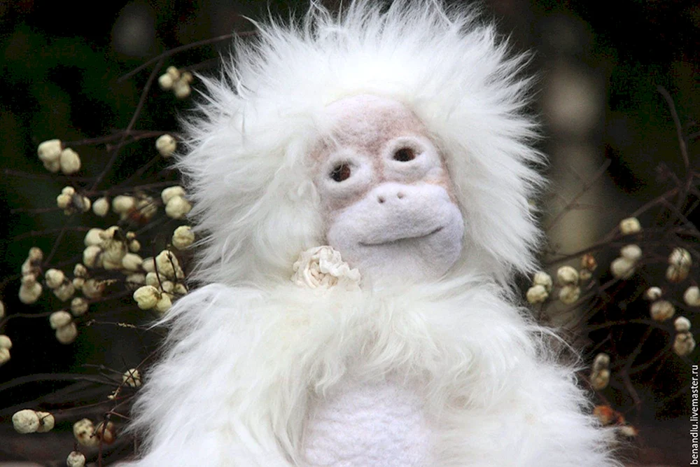 Roxellan rhinopithecus albino