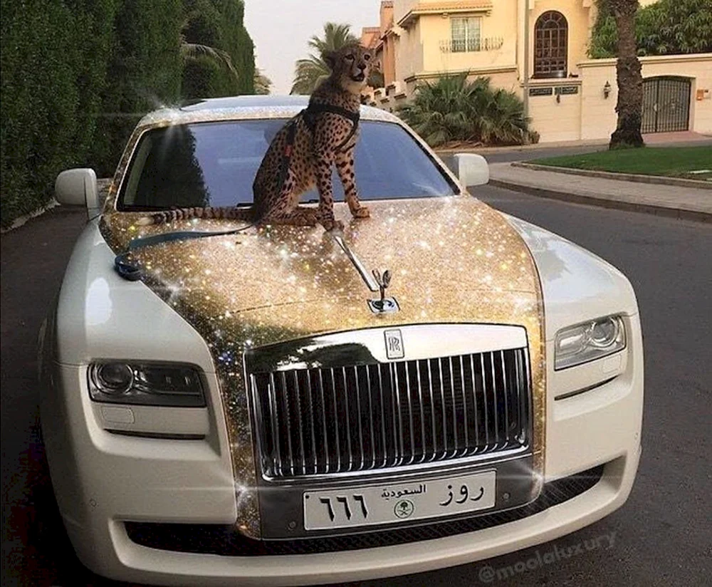 Roll- Hüseyin Hasanovs Royce