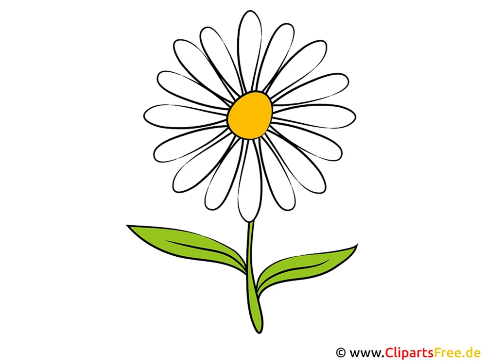 Gänseblümchen Clipart