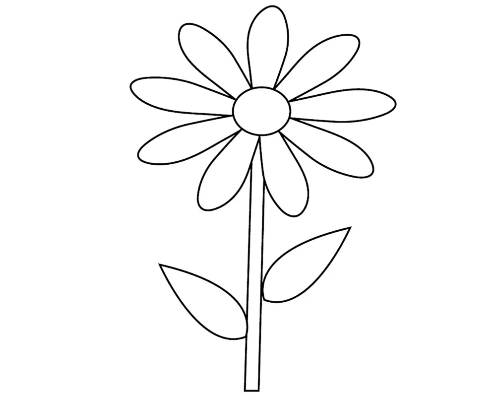 Gänseblümchen Bleistift