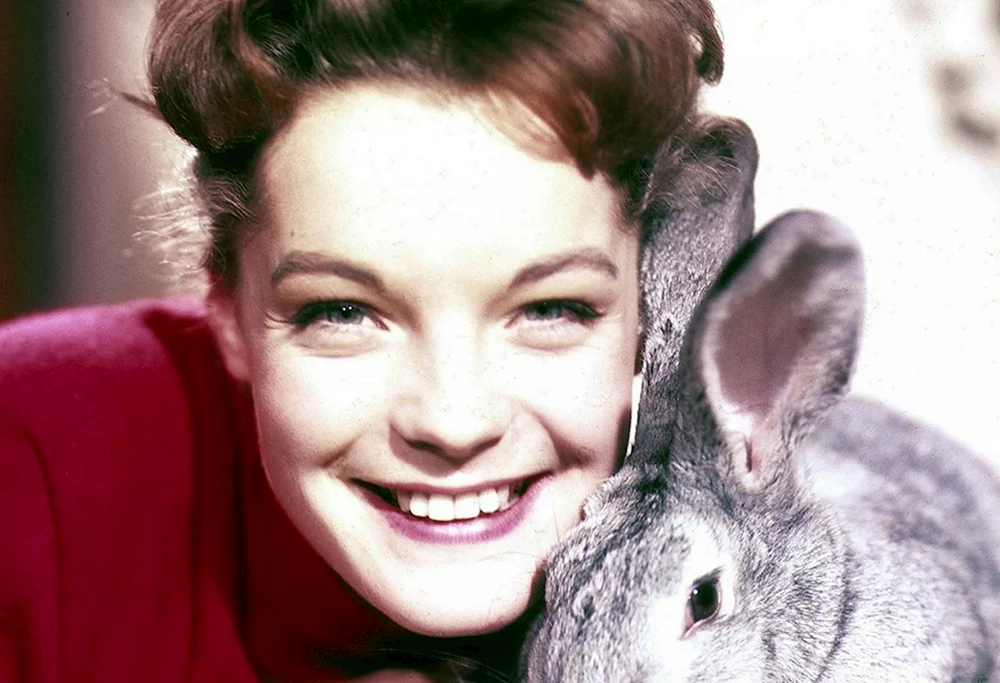 Romi Schneider Schauspielerin