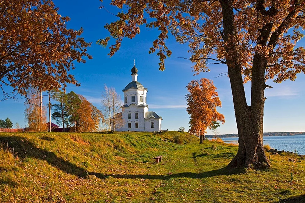 Russland Birken Orthodoxe Kirche
